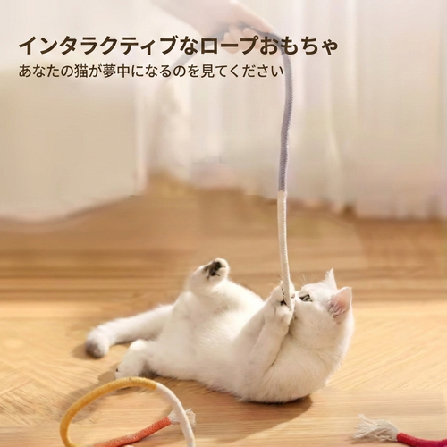 POCHI歯磨きおもちゃ